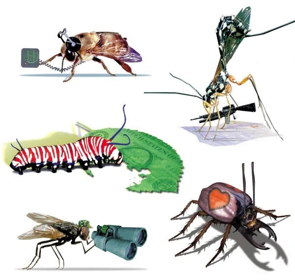 Small illustrations — archive reference: bugs
