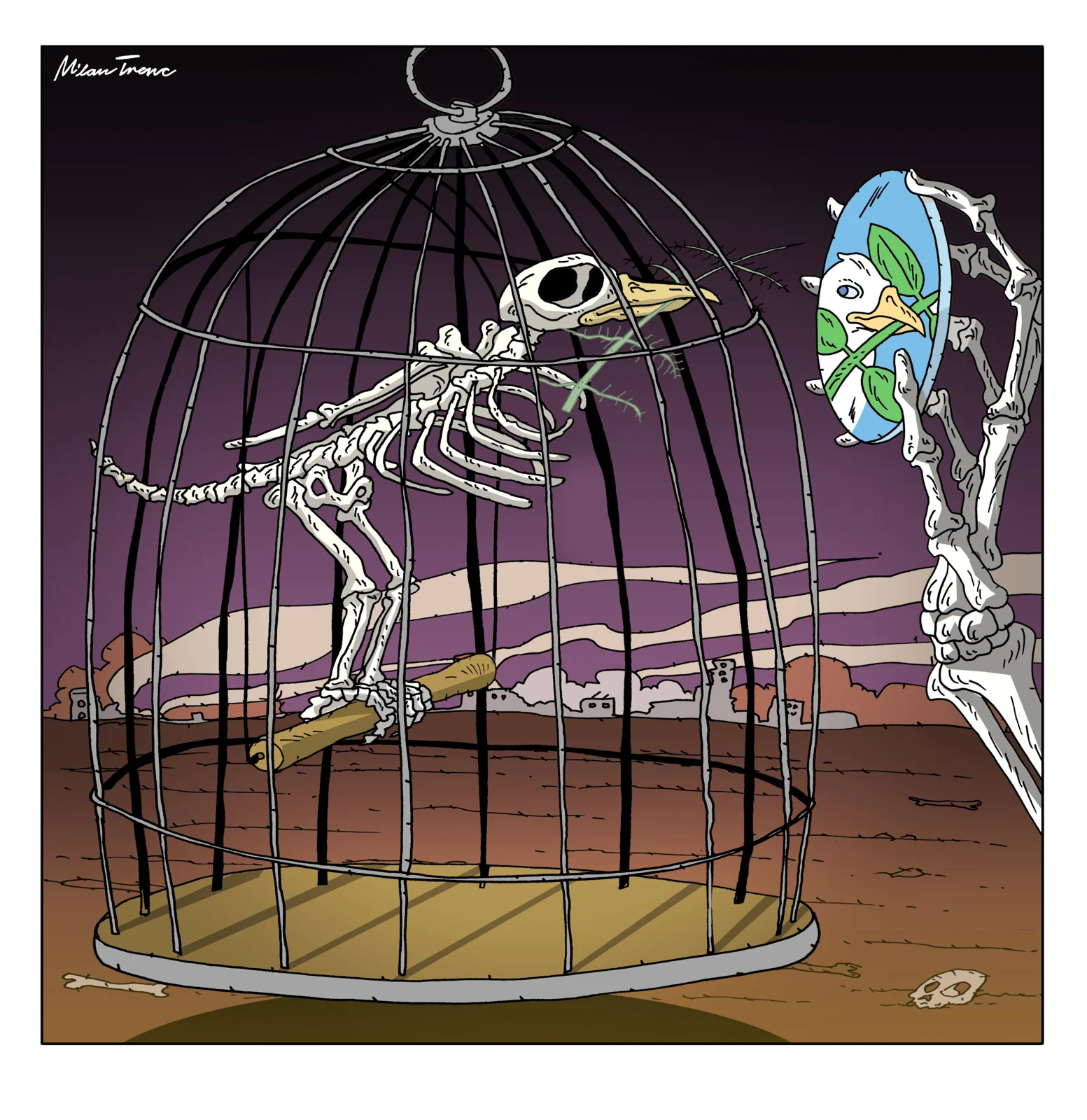 A dove inside a cage